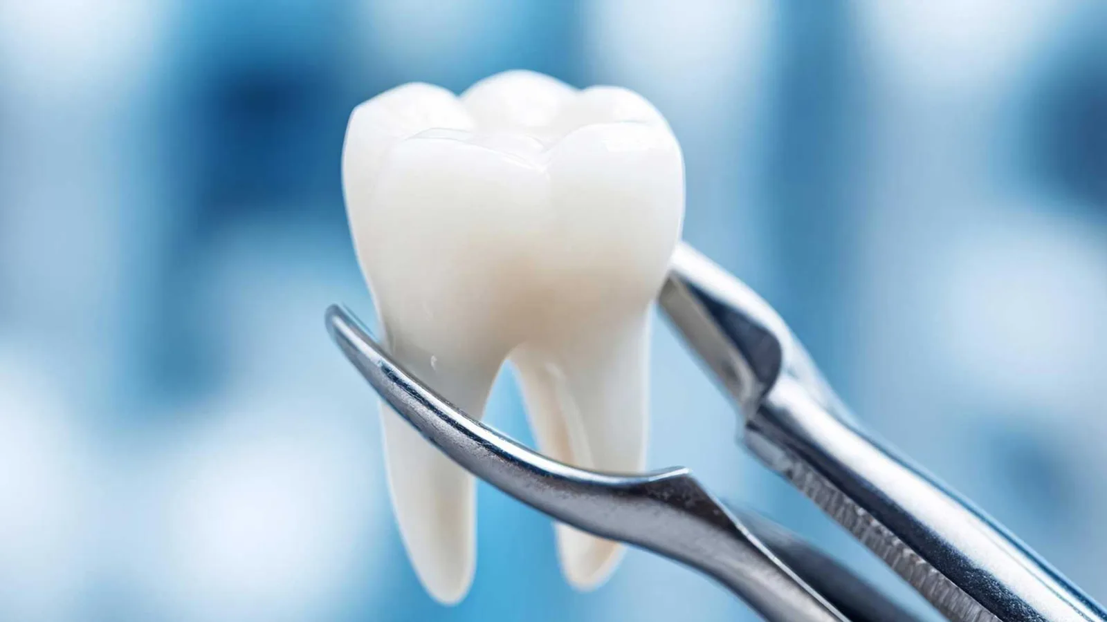My Dentist Geelong (Highton) offers instant private health insurance claims in Geelong through HICAPS for on-the-spot dental rebates.